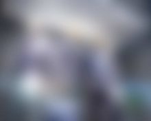 Latest WordPress News