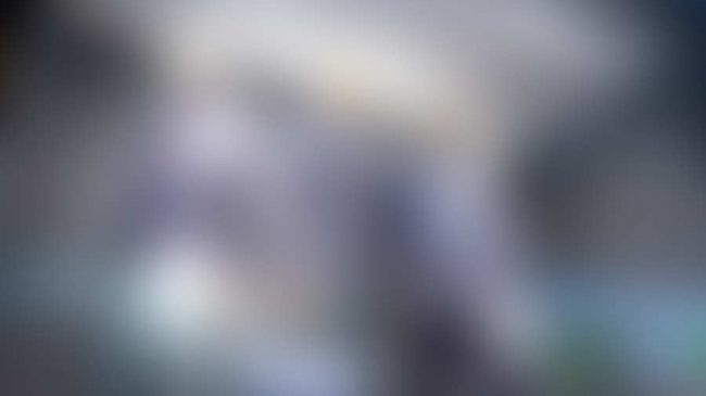 Neueste WordPress Nachrichten