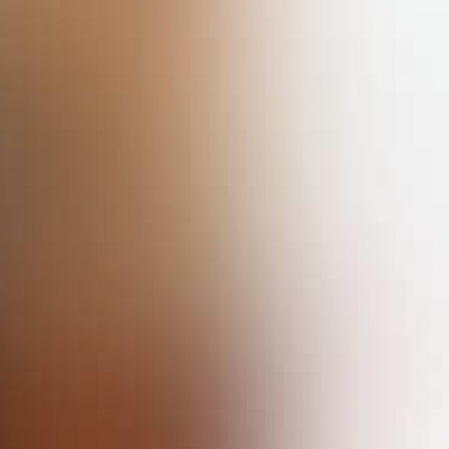 (株)マックス・ベア