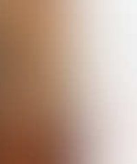 (株)マックス・ベア