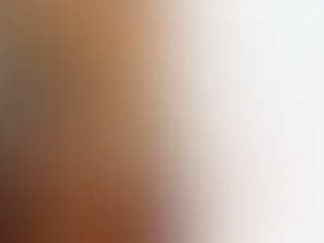 (株)マックス・ベア