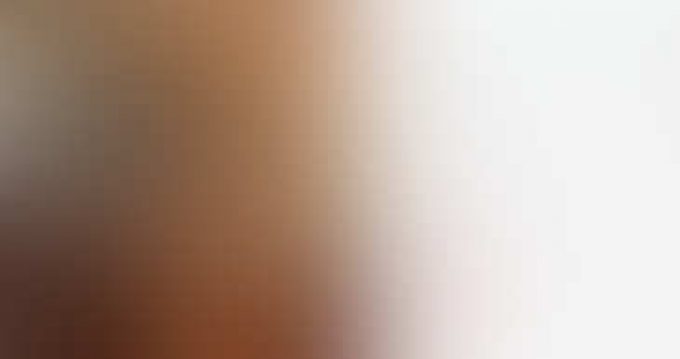 (株)マックス・ベア